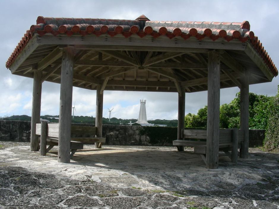 DSCN0989