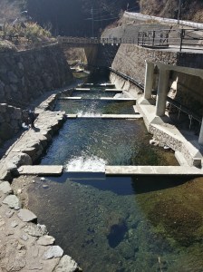 20150221_122757_Richtone(HDR)