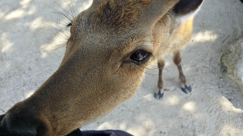 20150719_143802_Richtone(HDR)