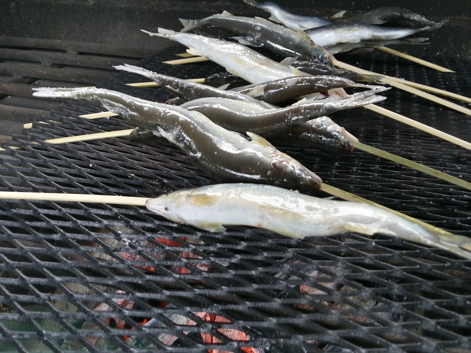 20150806_133758_Richtone(HDR)