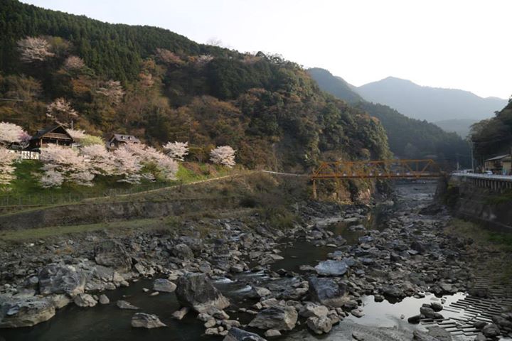 in front of the neighboorhood